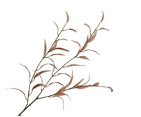 Eucalyptustak l96cm lichtbruin