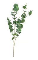 Eucalyptustak l98cm groen