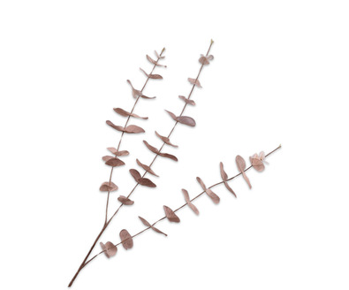 Eucalyptustak l99cm champagne