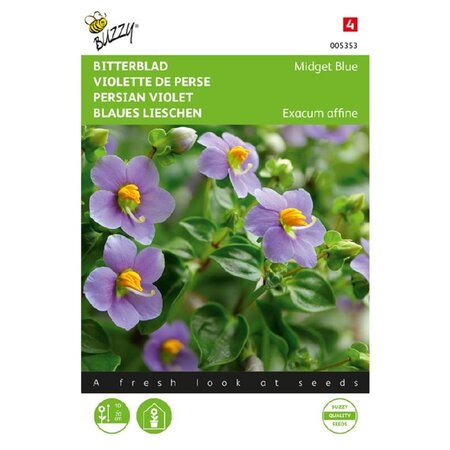 Exacum affine midget blue 10zdn - afbeelding 1