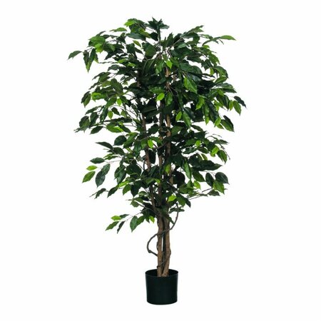 Ficus benjamina i/pot d85h150 groen