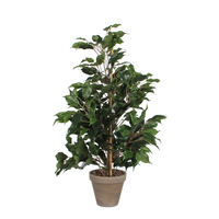 Ficus exotica d40h65cm groen (Zijde-plant)