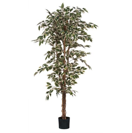 Ficus hawaii in pot d90h180cm groen (Zijde-plant)