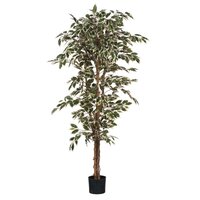 Ficus hawaii in pot d90h180cm groen (Zijde-plant)