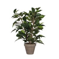 Ficus natasja in pot d30h40cm groen (Zijde-plant) - afbeelding 1