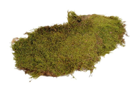 Flat mos 2kg naturel