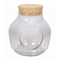 Fles m/kurk hanks d10/19h19 trnspr