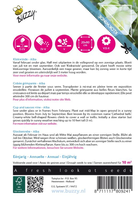 Flowering climbers cobaea wit 2gram - afbeelding 2