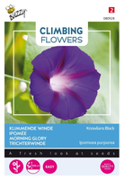 Flowering climbers ipomoea knowl 2gram
