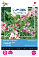 Flowering climbers lathyrus unwi 4gram