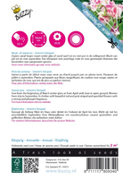 Flowering climbers lathyrus unwi 4gram - afbeelding 2