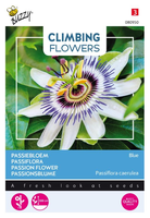 Flowering climbers passiflora 0.5gram