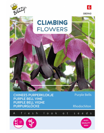 Flowering climbers rhodochiton 10zd - afbeelding 1