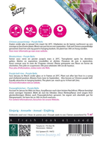 Flowering climbers rhodochiton 10zd - afbeelding 2