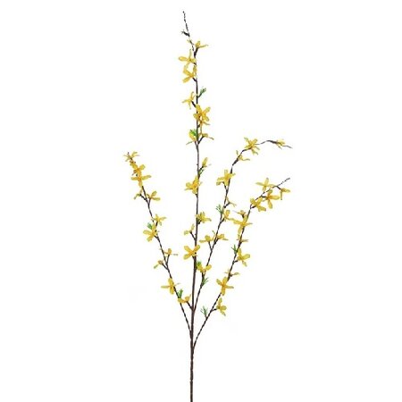 Forsythiasteel l95cm geel