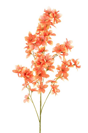 Frangipanisteel l90cm oranje