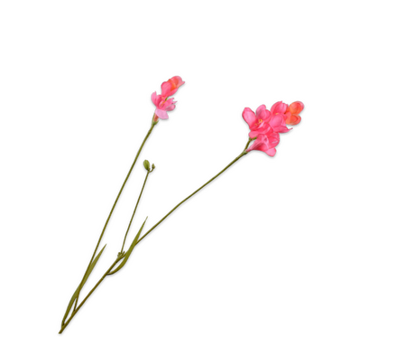 Freesiatak l78cm beauty