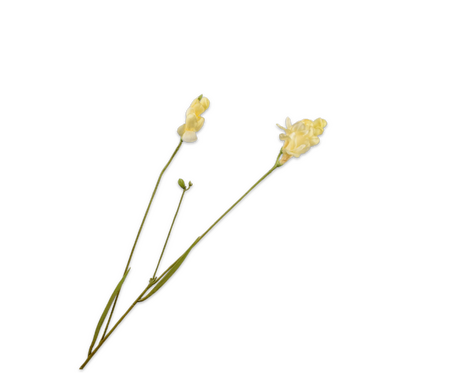 Freesiatak l78cm geel