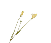 Freesiatak l78cm geel