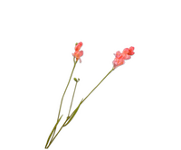 Freesiatak l78cm zalm