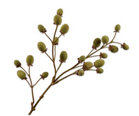 Fruittak kiwi l76cm groen/bruin