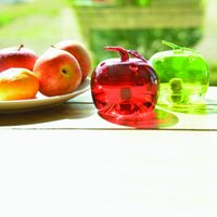 Fruitvliegenval appel l9b9h10 ass - afbeelding 4