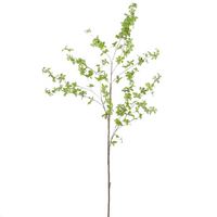 Fuchsia l150b32h8cm groen