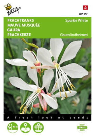 Gaura sparkle white 15zaden - afbeelding 1