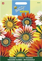 Gazania splendens hybrida sun 0.25gram - afbeelding 3