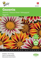 Gazania tiger mixture 15zaden - afbeelding 3