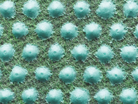 Gazon met nop 200cm groen - afbeelding 2