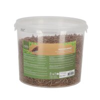 Gedroogde meelwormen in emmer 700g