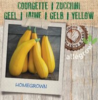 Gele Courgette - afbeelding 2