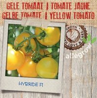 Gele Tomaat - afbeelding 2