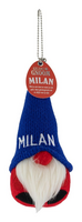 Geluksgnoom Milan