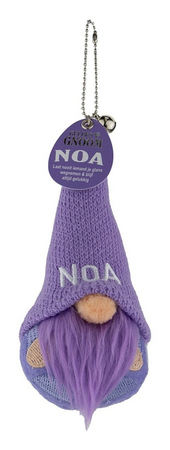 Geluksgnoom Noa