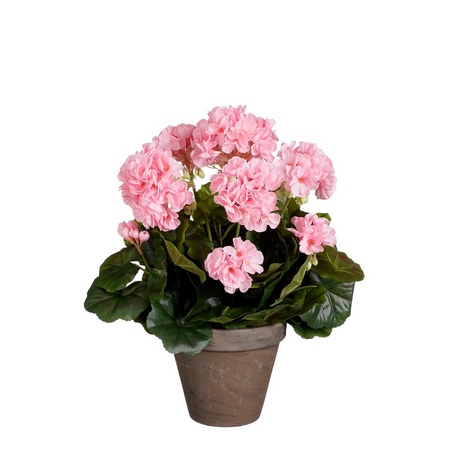 Geranium d27h41cm roze