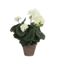 Geranium groot d20h34cm creme (Zijde-plant)