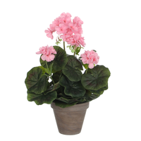 Geranium groot d20h34cm roze (Zijde-plant)