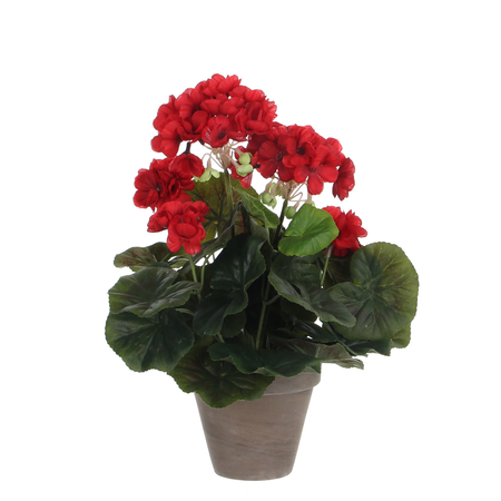 Geranium groot in pot d20h34cm rood (Zijde-plant)
