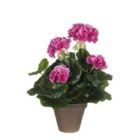 Geranium in pot h33cm paars (Zijde-plant)