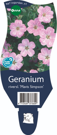 Geranium river. Mavis Simpson P11