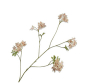 Geraniumsteel l94cm creme/bruin