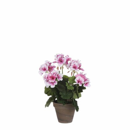 Geraniumsteelsteel d20h33 oud roze