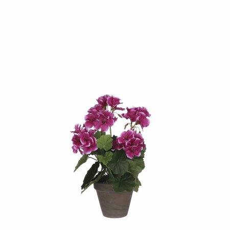 Geraniumsteelsteel d20h33cm paars