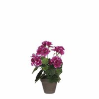 Geraniumsteelsteel d20h33cm paars