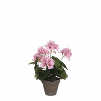 Geraniumsteelsteel d20h33cm roze