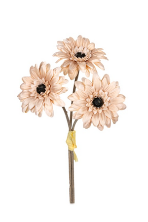 Gerbera bundel mini h27cm beige