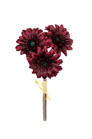 Gerbera bundel mini h27cm burgundy