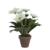 Gerbera d30h35cm creme (Zijde-plant)